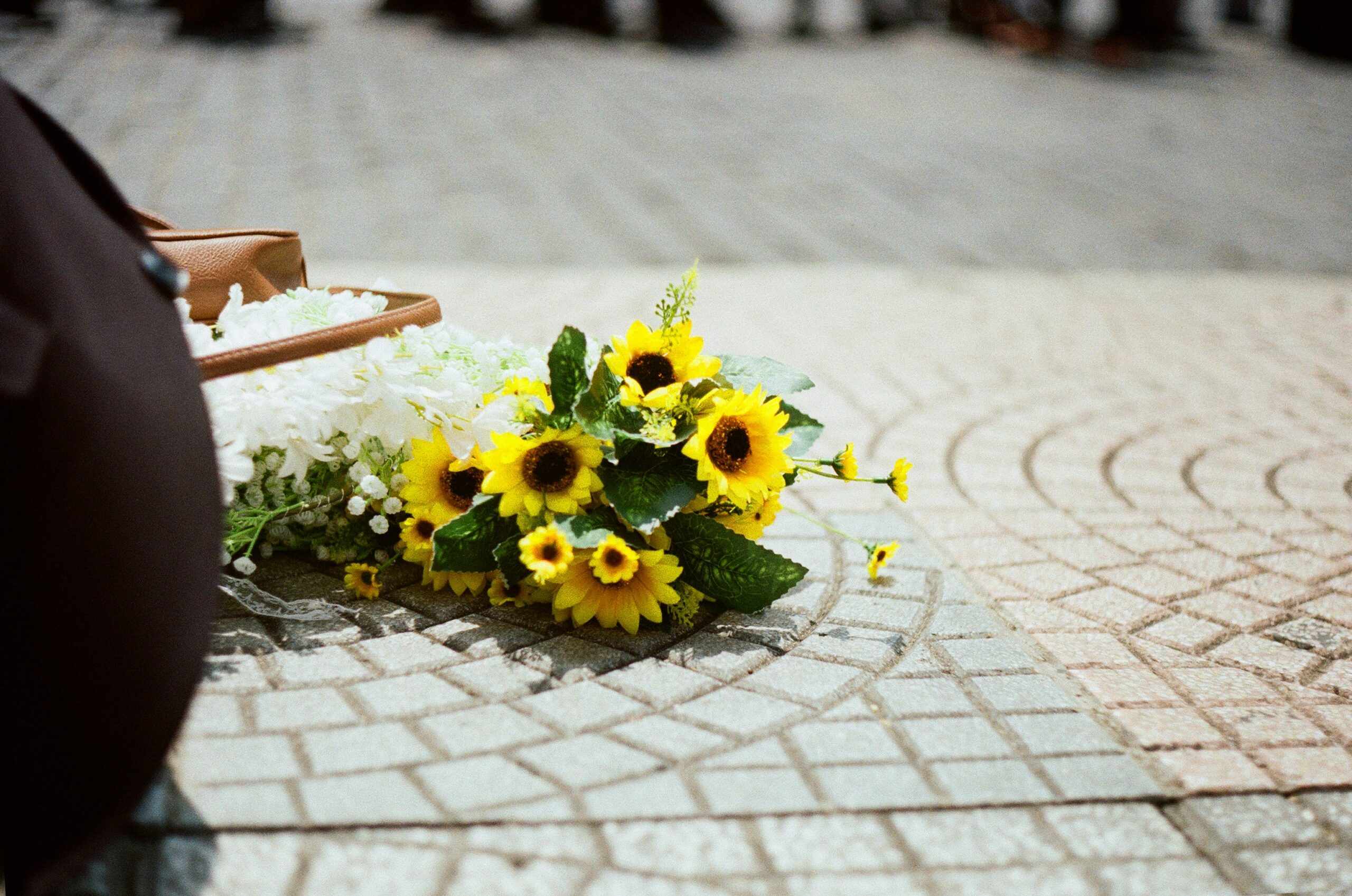 Photo de Robert NOAIL